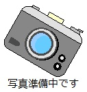 写真あり